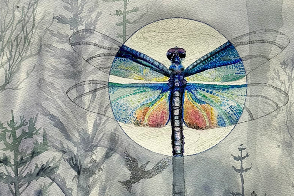Painting of a blue and orange dragonfly highlighted on a nature patterned gray background