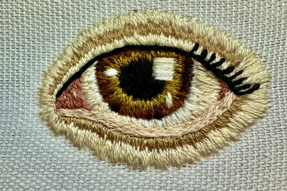 close up artwork of a brown eye isolated on a gray background